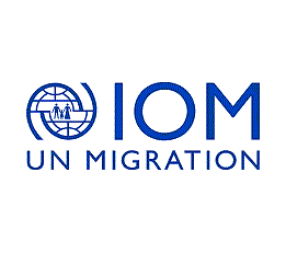 IOM National Migration Health Policy Officer Jobs