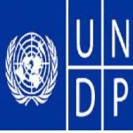 UNDP Jobs min