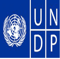 UNDP Policy and Programme Associate Jobs