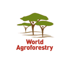 World Agroforestry Theme Leader – Biodiversity and Tree Genetic Resources Jobs